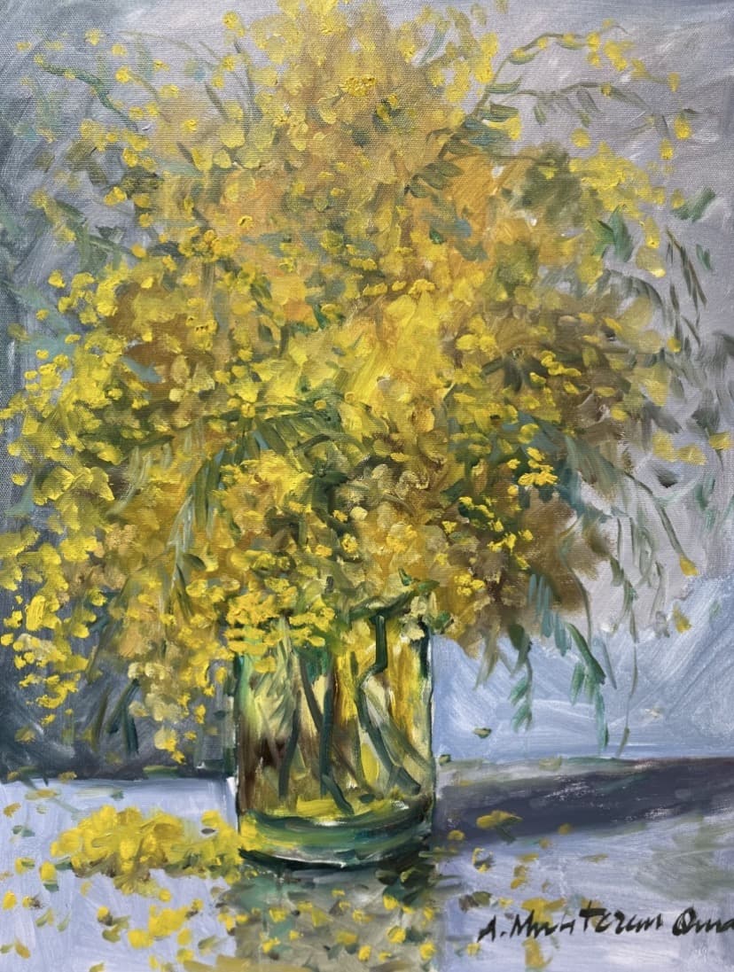 Mimoza çiçekleri